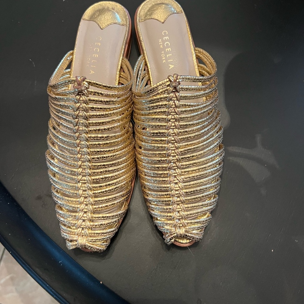 Cecelia New York Gloria Slides Size 7
